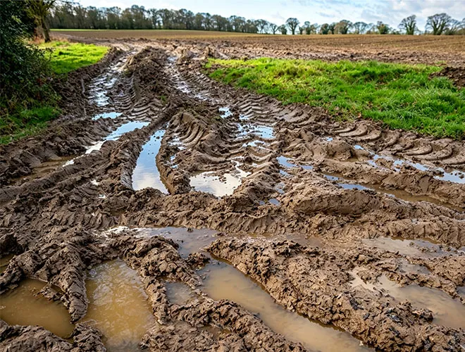 Uneven & Soft Ground